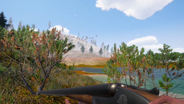 Birds Hunter screenshot 2