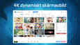 Skärmbild 1