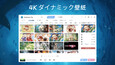 スクリーンショット #1