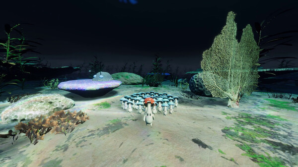 Forest Floor screenshot 6