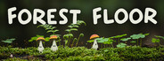 Forest Floor