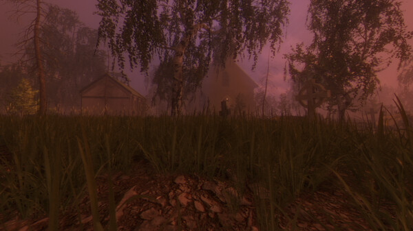 Thumbnail 17