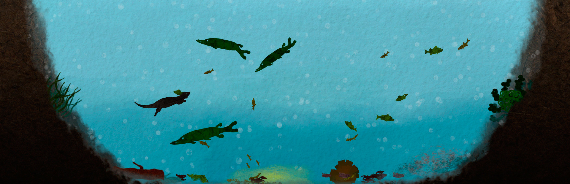 Among Ripples