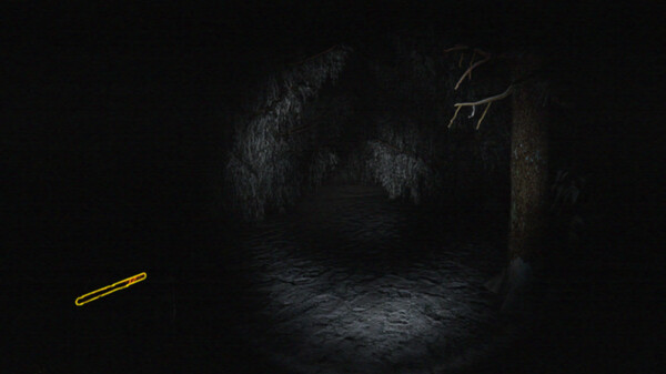Скриншот 4 из игры SCP: V/H/S - Gifts