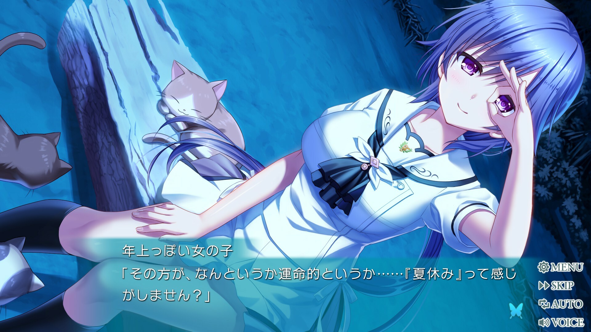 PCゲームソフト Summer Pockets REFLECTION BLUE Amazon.co.jp: Summer Pockets REFLECTION BLUE - Switch : ゲーム