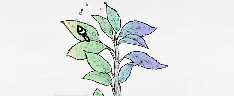 Garden Ink video 3