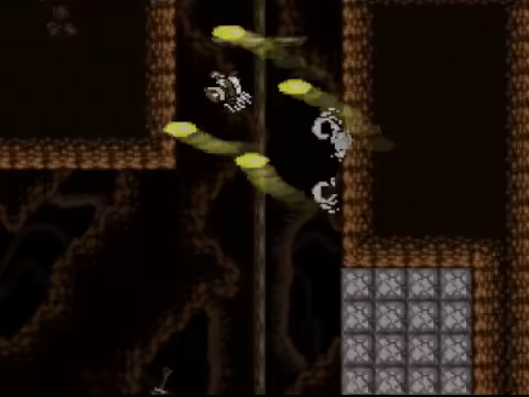 Team Dehdehbon video 2