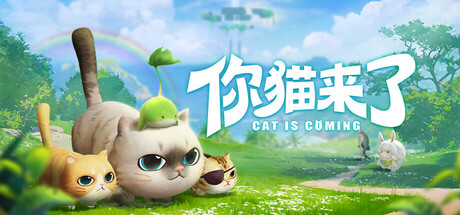 你猫来了 cover art
