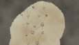 Screenshot #11