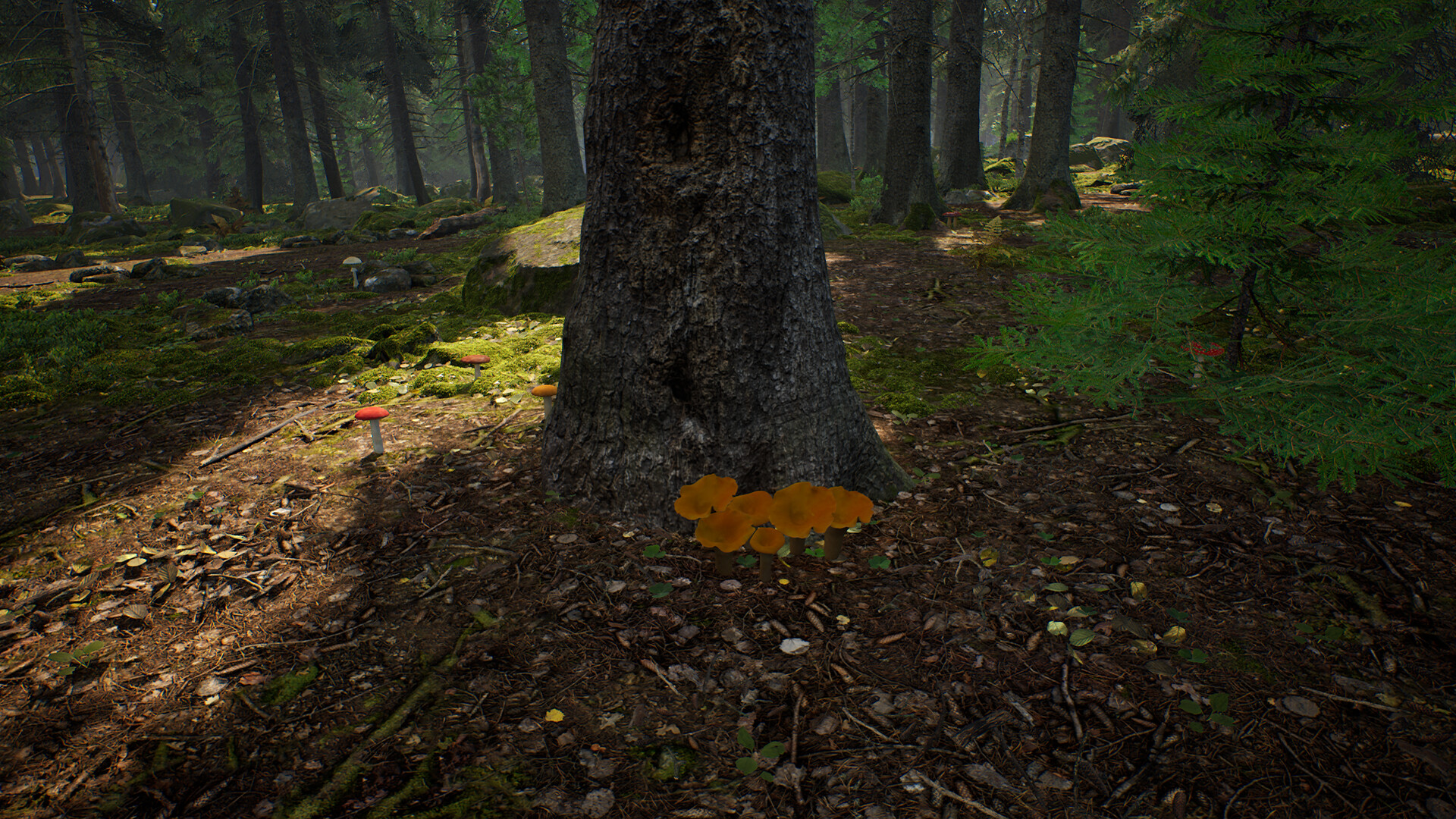 Mushroom Hunter Simulator screenshot #9