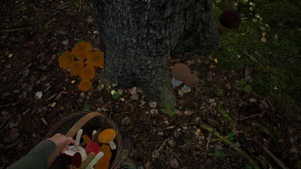 Mushroom Hunter Simulator