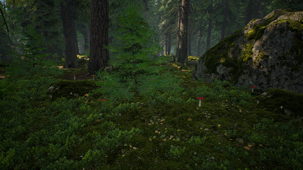 Mushroom Hunter Simulator screenshot 11
