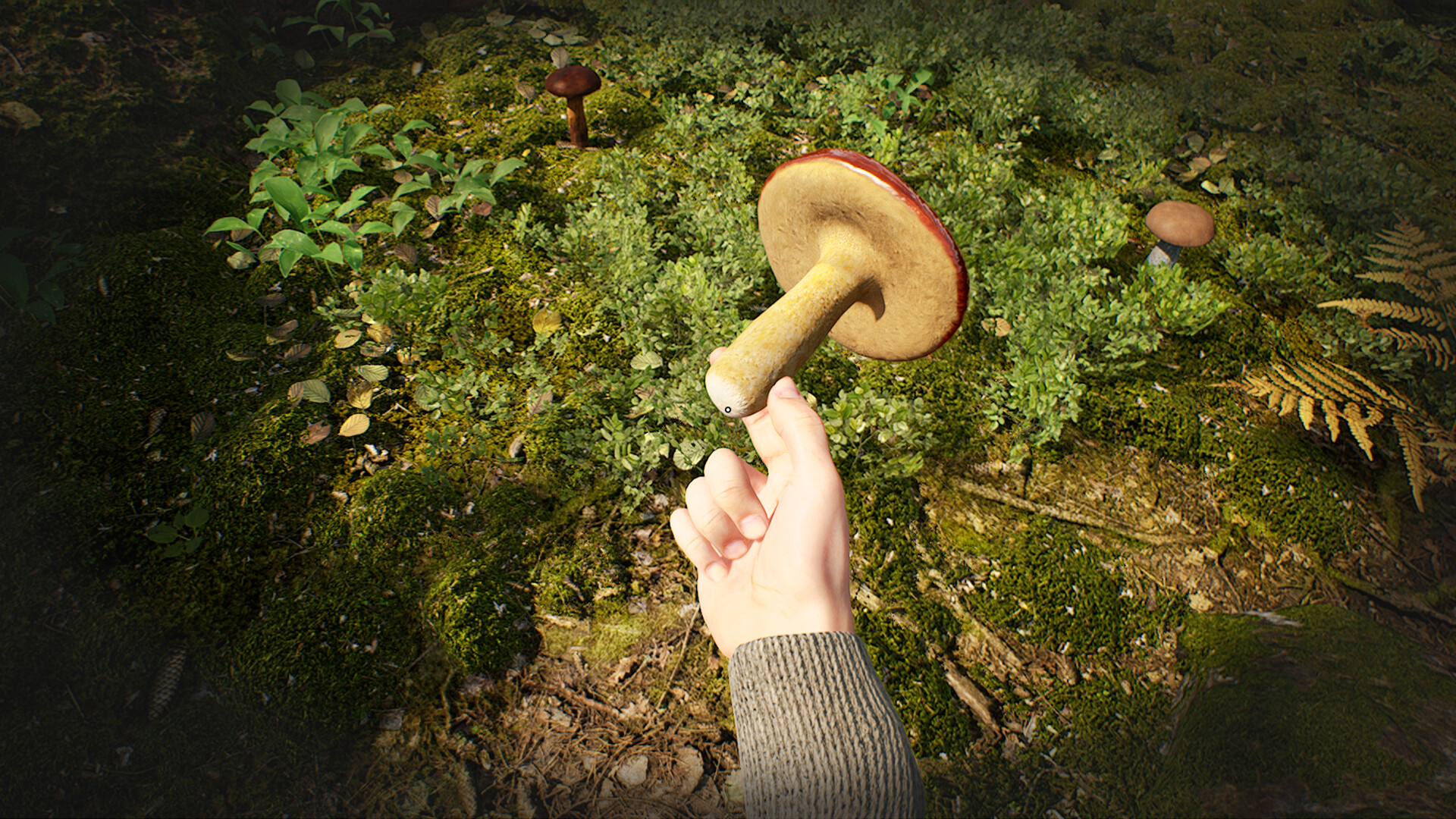 Mushroom Hunter Simulator screenshot #2