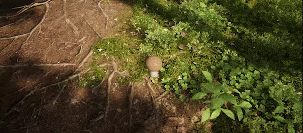 Mushroom Hunter Simulator video 1