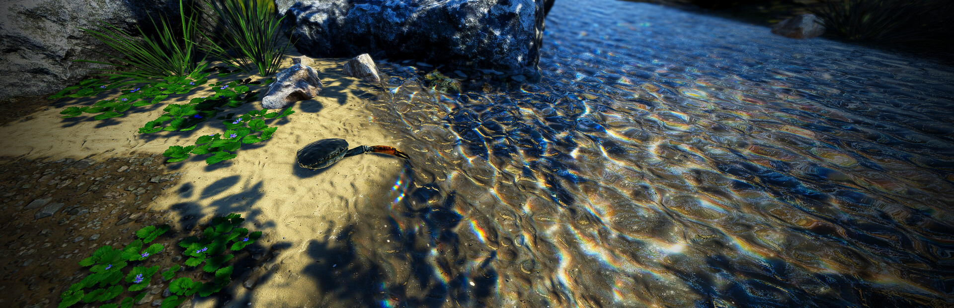 Strong Crab