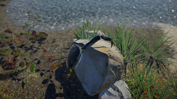 Strong Crab screenshot 3