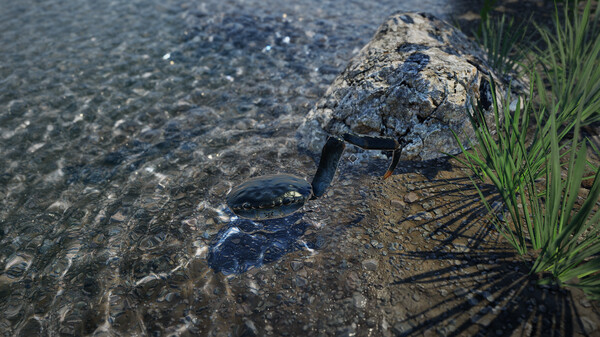 Strong Crab screenshot 5