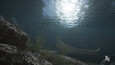 Screenshot #1