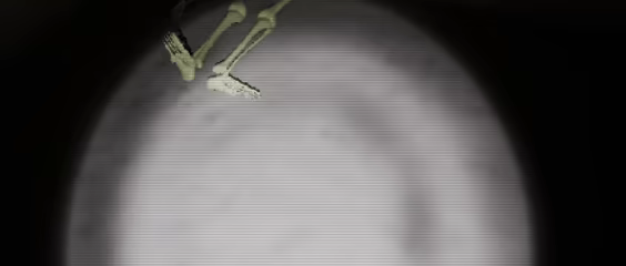 M.A.Z.E video 6