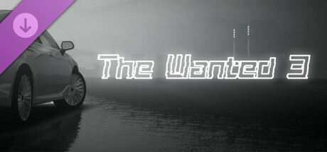The Wanted 3 Third anniversary car bag