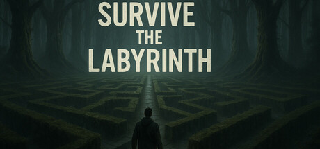 Survive the Labyrinth cover art