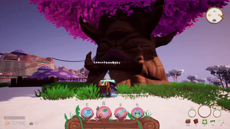 SAGE video 2
