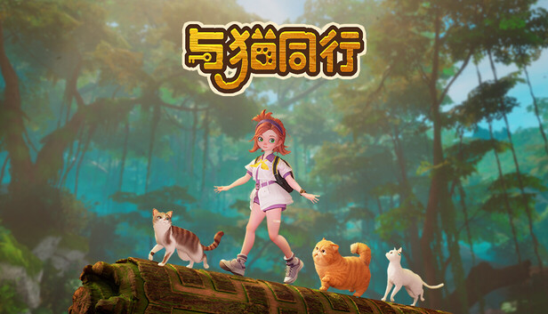 与猫同行