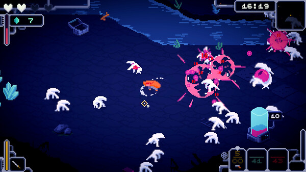 Bermuda Survivor Demo