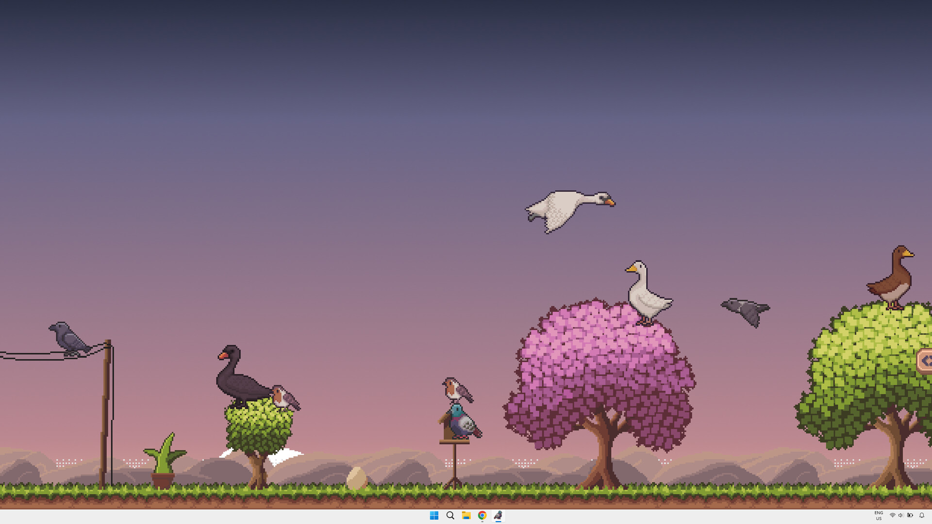 Little Aviary screenshot #5