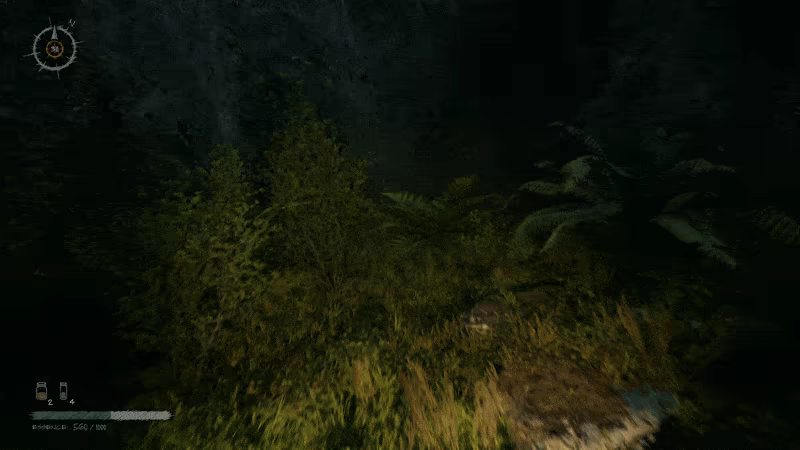 Proytz video 1