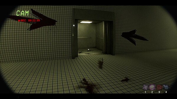Void Echo Demo