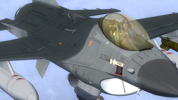 FSX: Steam Edition - F-16 Fighting Falcon Add-On