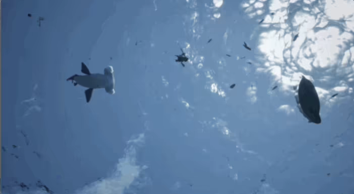 Moby Dick: A Tiny Tale of Revenge video 4