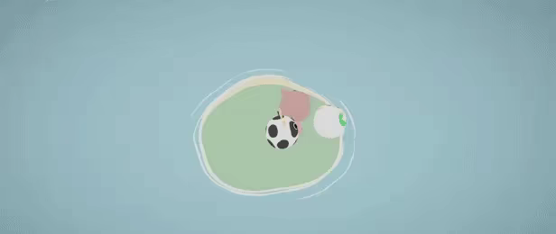 Bumper Animals video 2