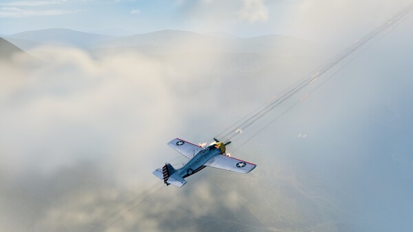 World of Warplanes - Grumman XF4F-3 Pack