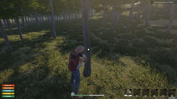 Thumbnail 17