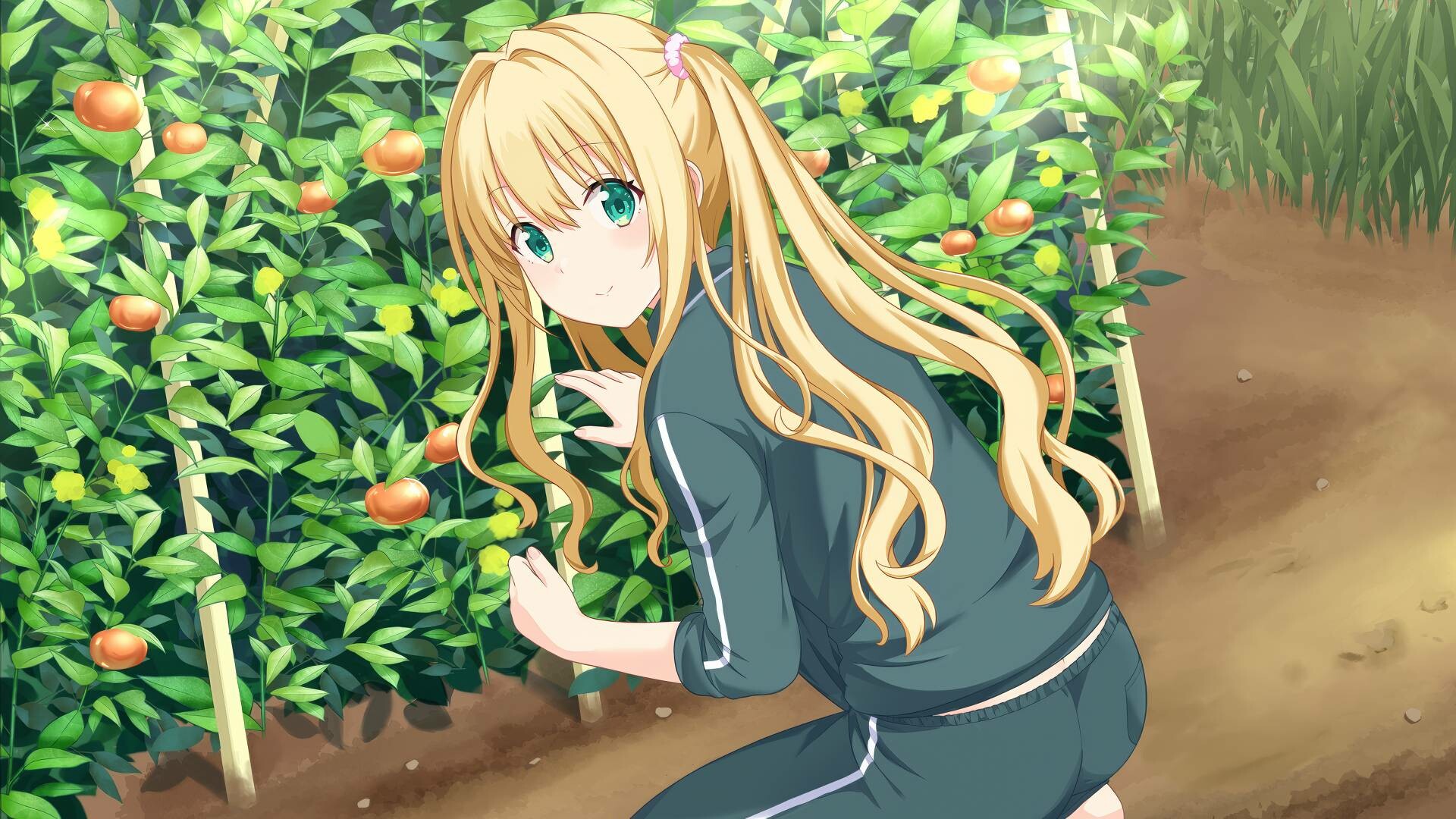 Save 25% on Kono Aozora ni Yakusoku o Refine on Steam
