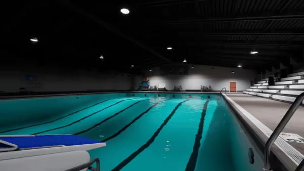 Sharks and Minnows video 1