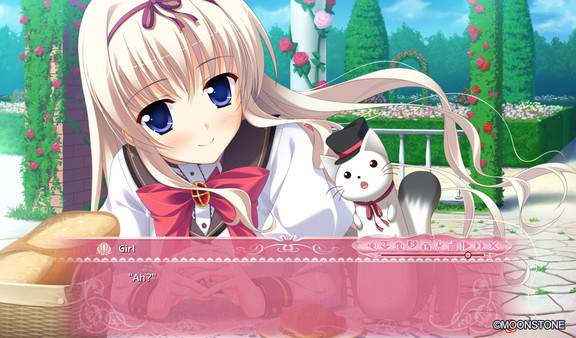 Princess Evangile All Ages Version