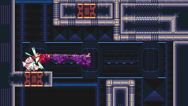 Gravity Circuit 2