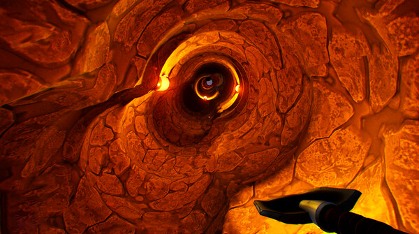 iDiggingfor windows and Linux 1