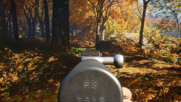 theHunter: Call of the Wild™ - Rapid Hunt Rifle Pack