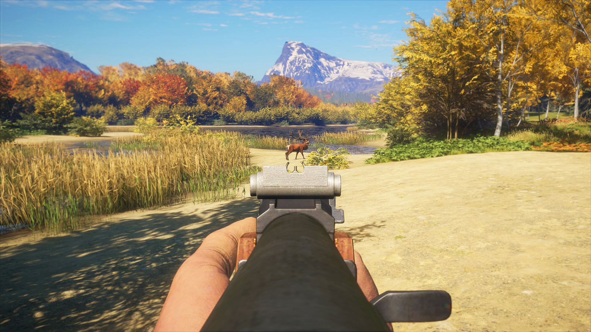 theHunter: Call of the Wild™ - Rapid Hunt Rifle Pack Featured Screenshot #1
