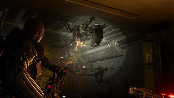 Aliens: Fireteam Elite 2 PC-GAME