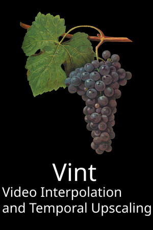 Vint: Realtime Video Interpolation and CRT Emulation — Steam catalog
