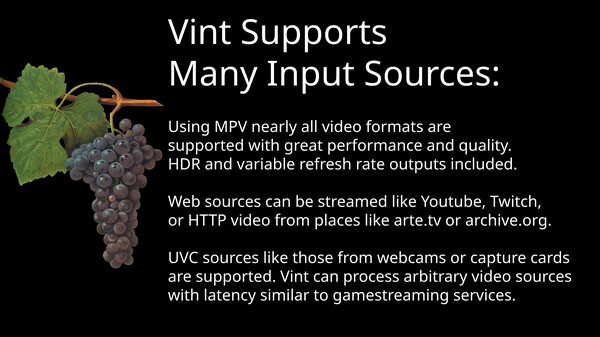 Скриншот из Vint: Video Temporal Upscaling and Interpolation