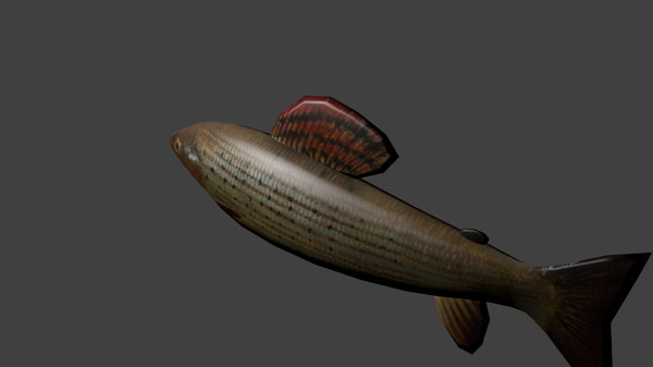 Thumbnail 10