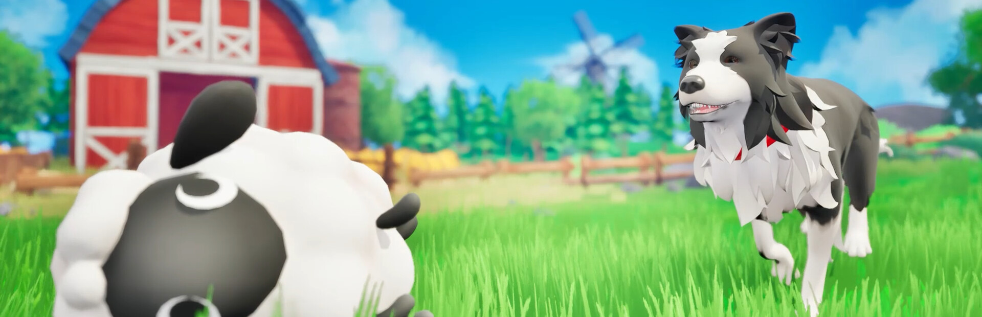 Sheep Dog