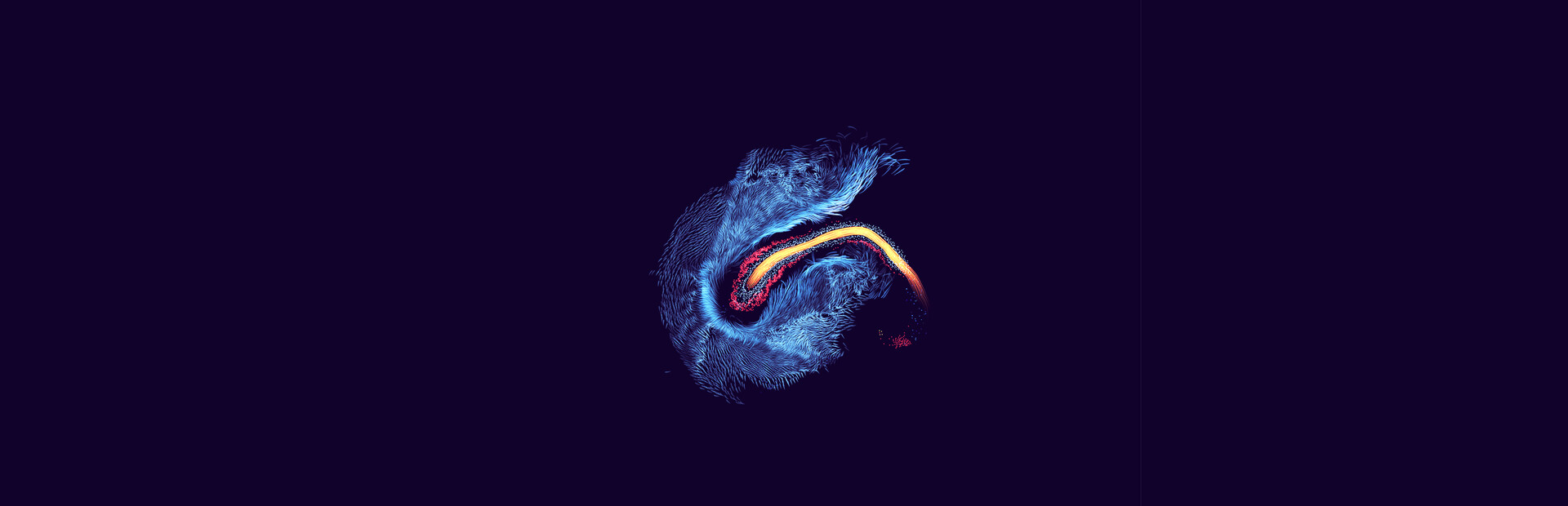 FROST: Quiet Light