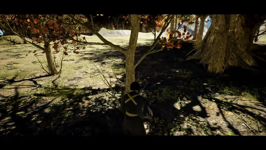 Ronin's Way video 2